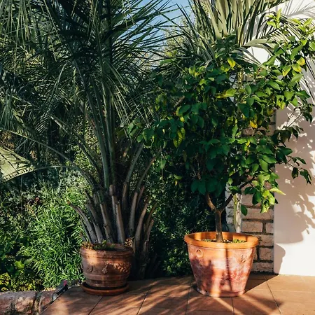 Orione - Front Hotel Brenzone sul Garda