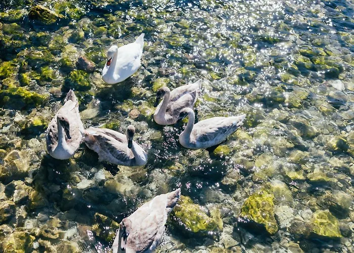 Отель Orione - Front Бренцоне-суль-Гарда